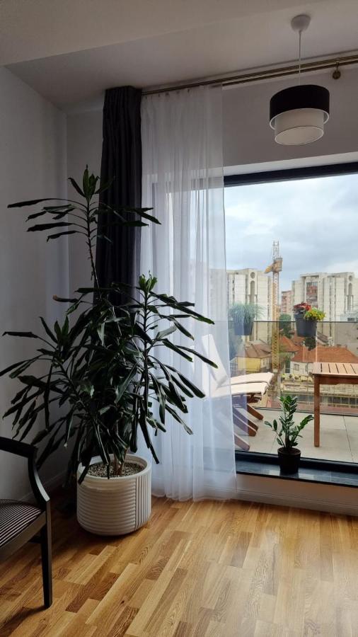 Апартаменты Penthouse Cosmopolit Брашов Экстерьер фото